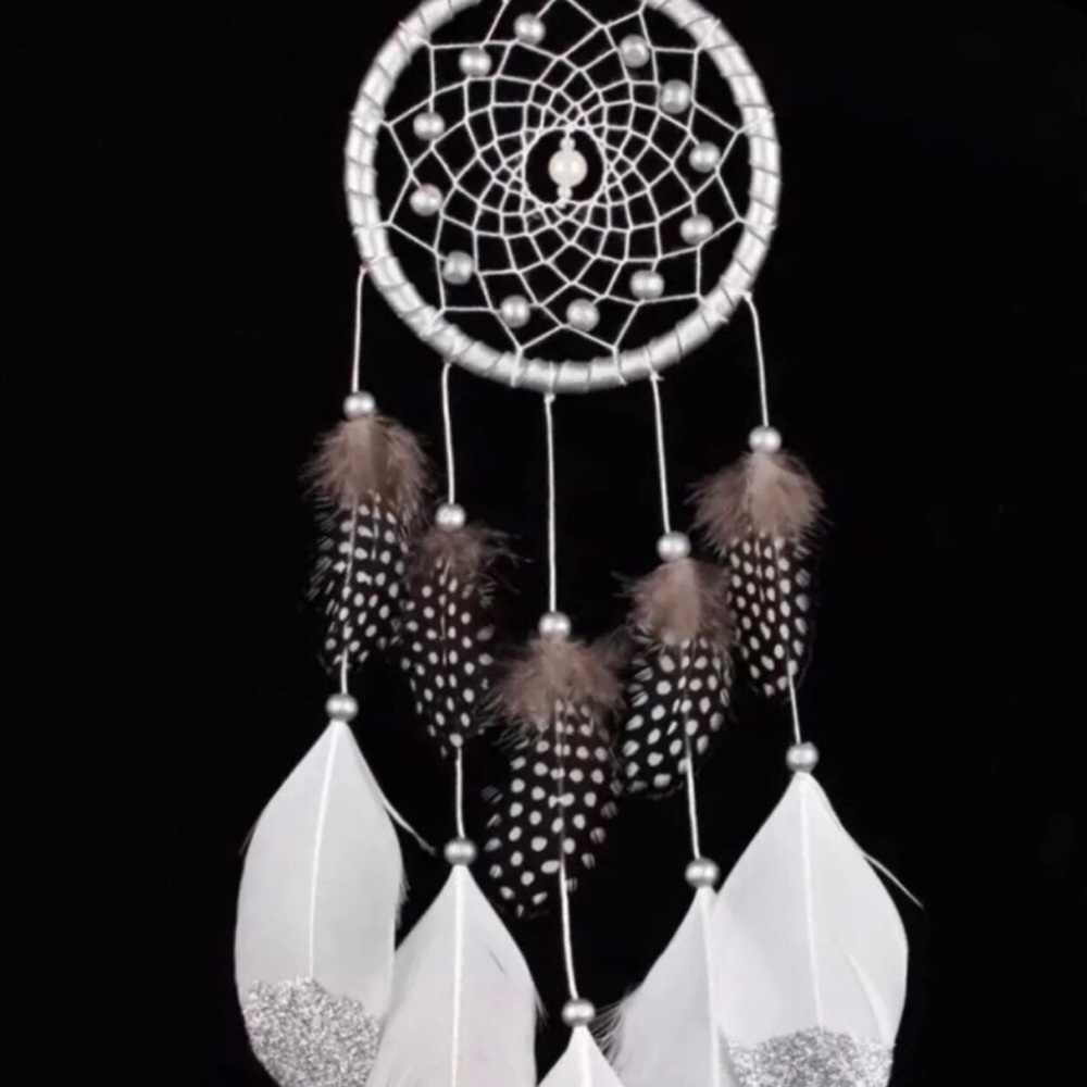 White and Brown Feather Dreamcatcher Wall Decor